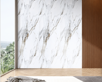 Gold & White Marble PVC Wall Panel